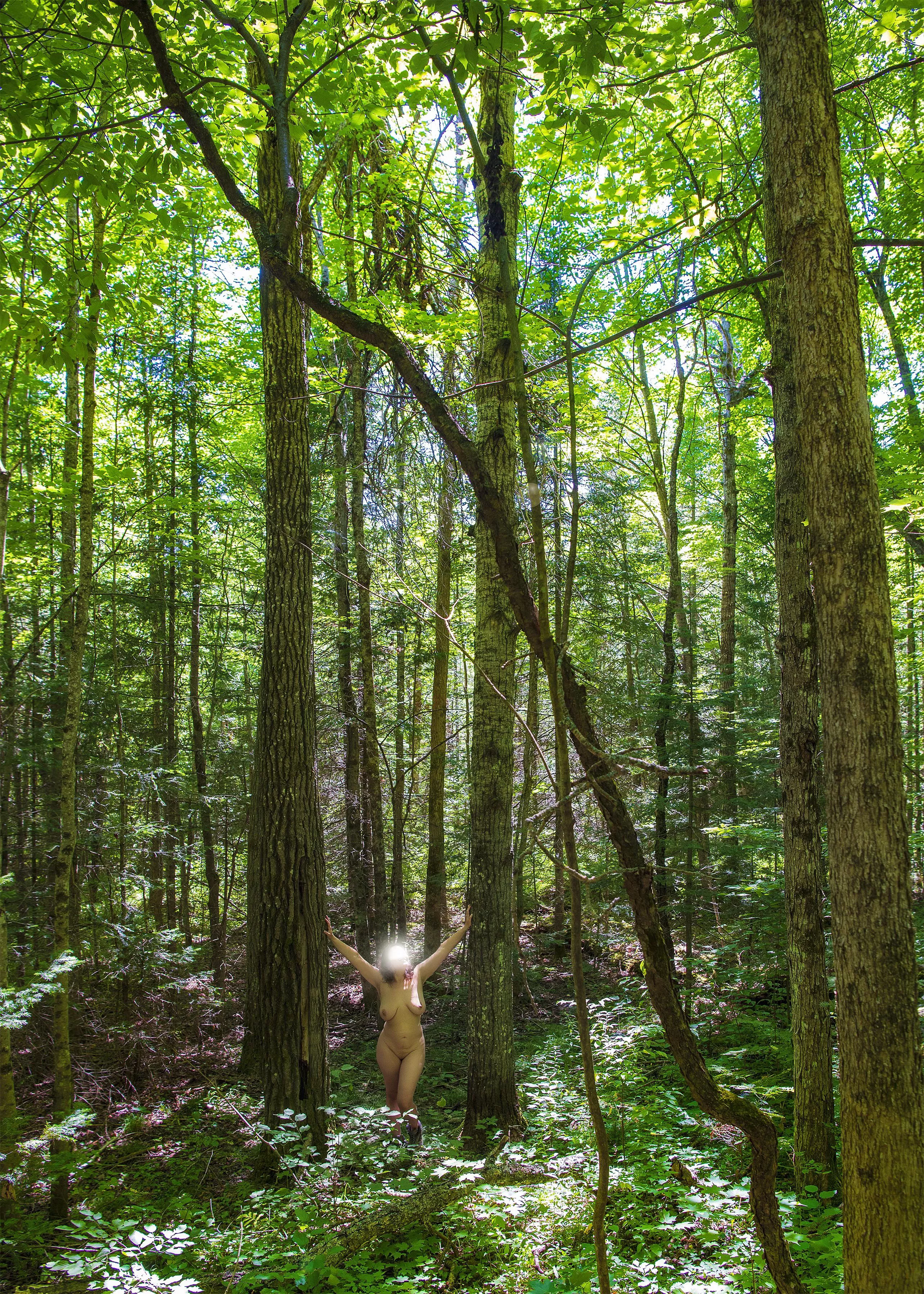 Thinking back to warmer days in the woods.