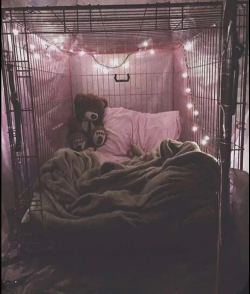 To be a little puppy boy in in my cage being good for my master~ 🖤💕