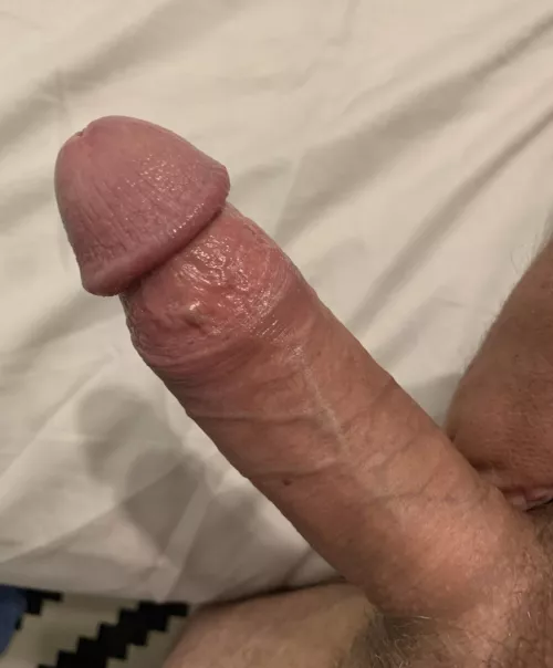 Would you stroke, suck or fuck it?