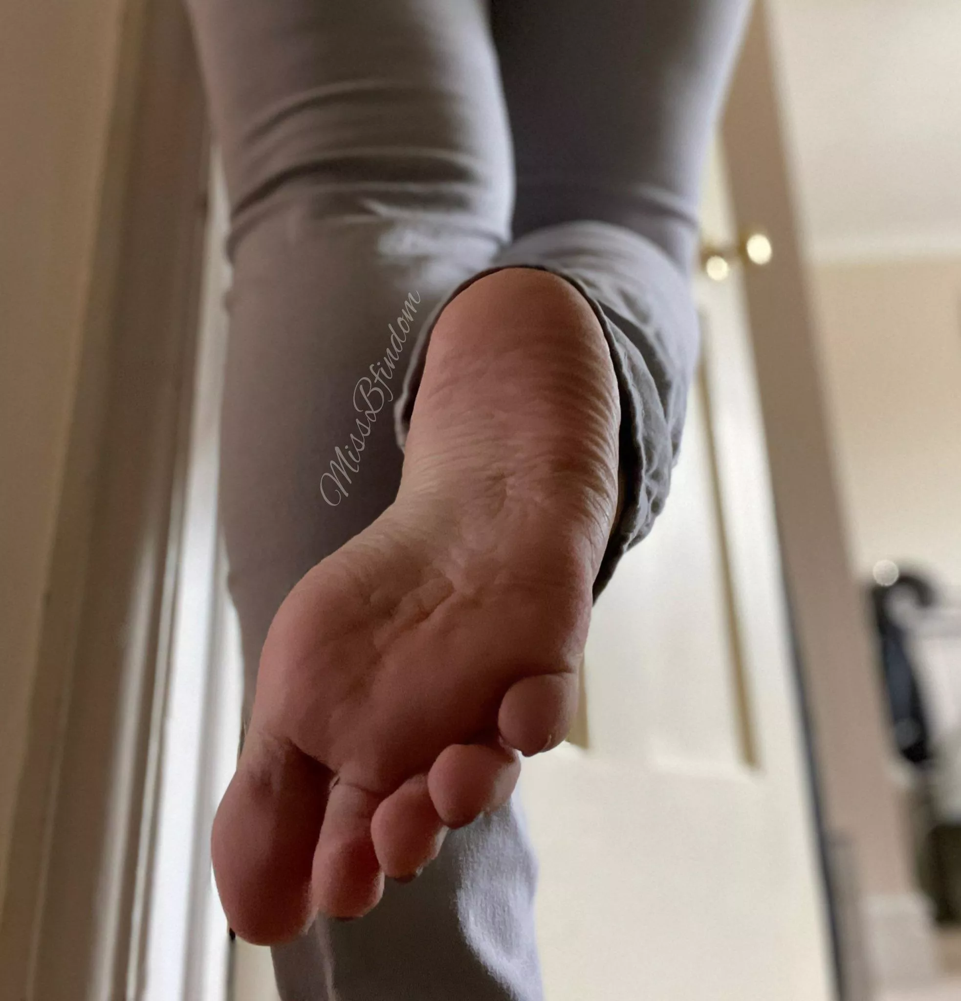 Your favorite POV… lick them☺️