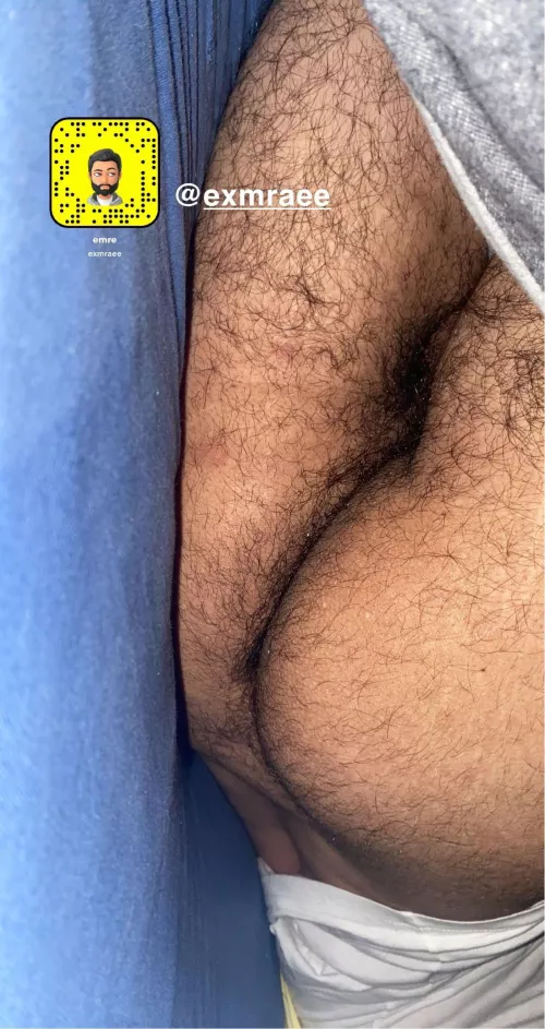 Dm or add me if you are hairy or dominate