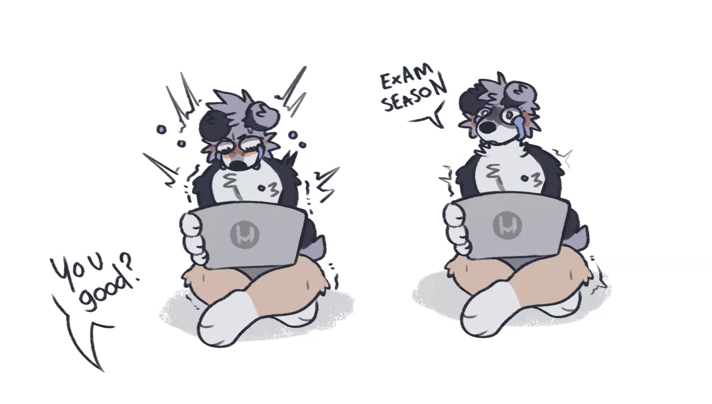 Exam season//art by me @flowfells on twitter