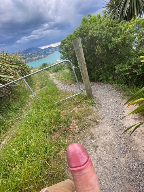 got horny on my hike