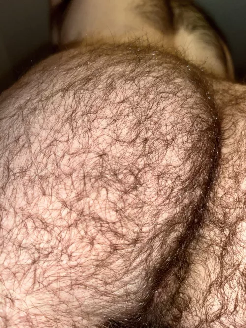 Happy Thanksgiving! Eat up 😏