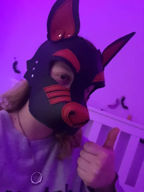 Happy thanksgiving from this pupper :)