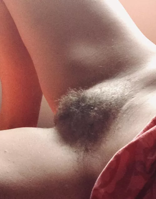 Have you tried hairy milf pussy lately?
