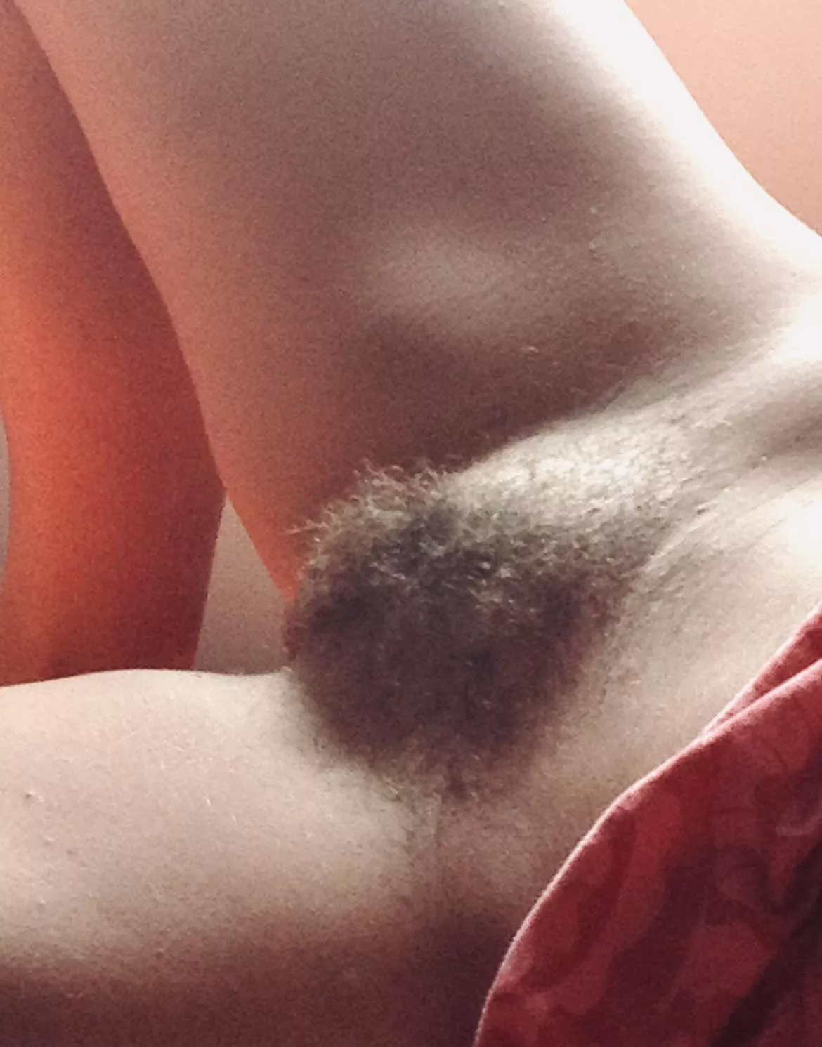 Have you tried hairy milf pussy lately?