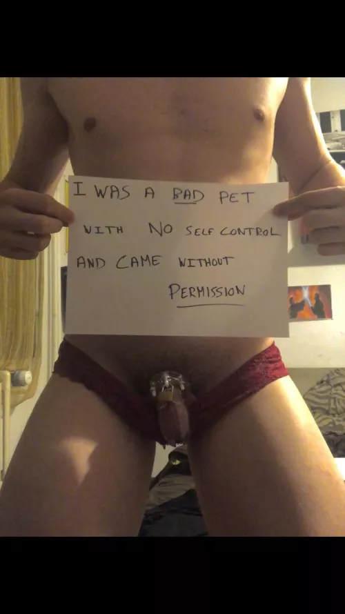 I have been a bad pet and this is my punishment