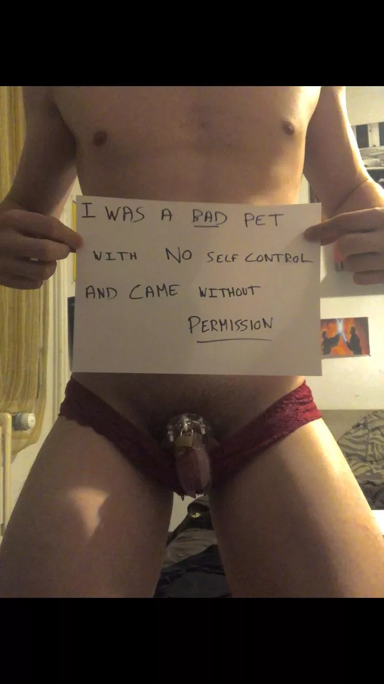 I have been a bad pet and this is my punishment