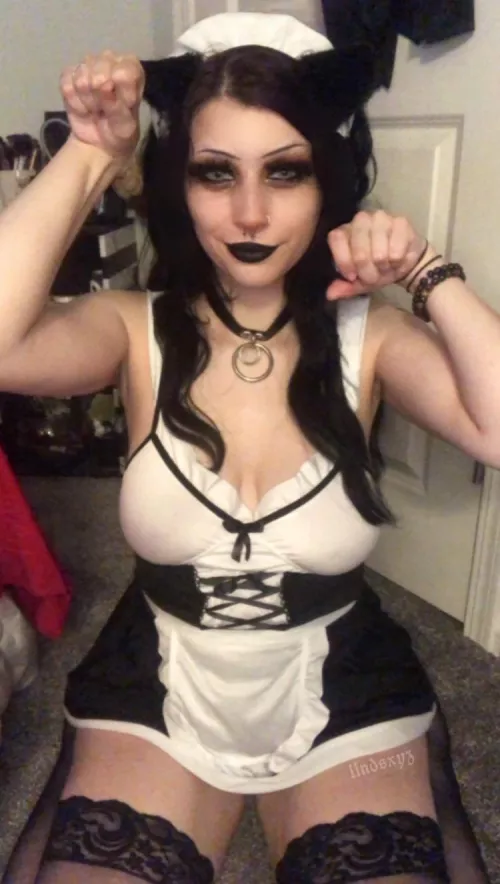 i heard you were looking for a maid! meow d;