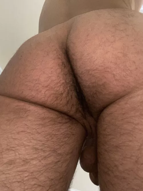 I swear I shaved a few weeks ago