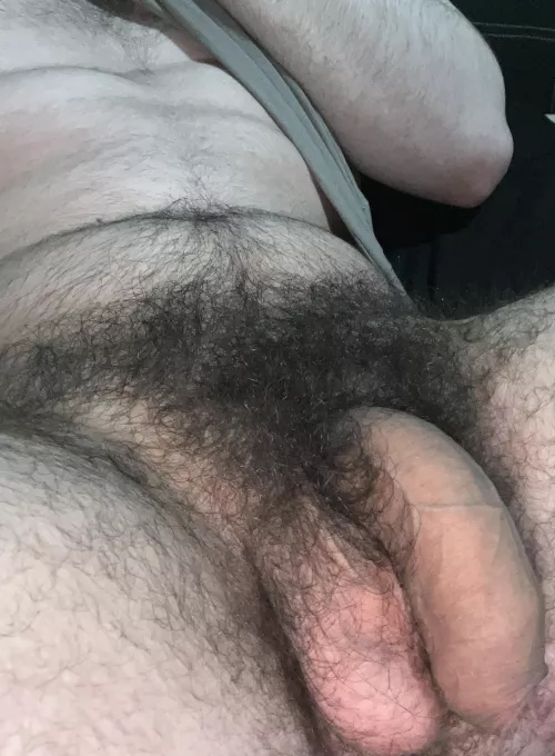 I’m hairy all over🌲🍆Dms open😈