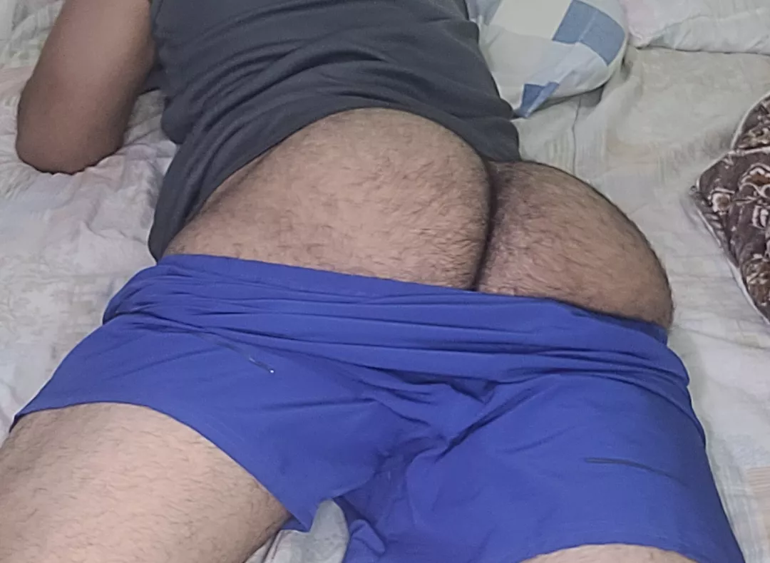 Latino Amaerico, big ass hairy