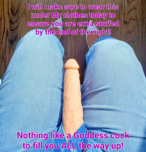 No need for a 2nd or 3rd helping of food today, I will keep you stuffed!