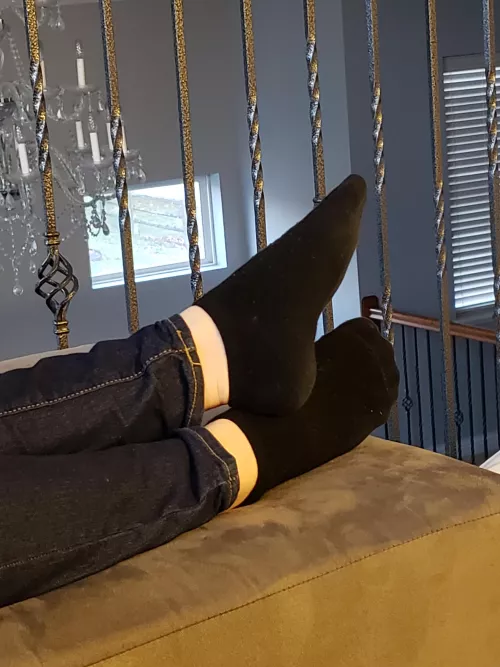 Not really wild, but cute nonetheless!