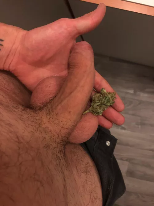 Pack’n’bud [m]