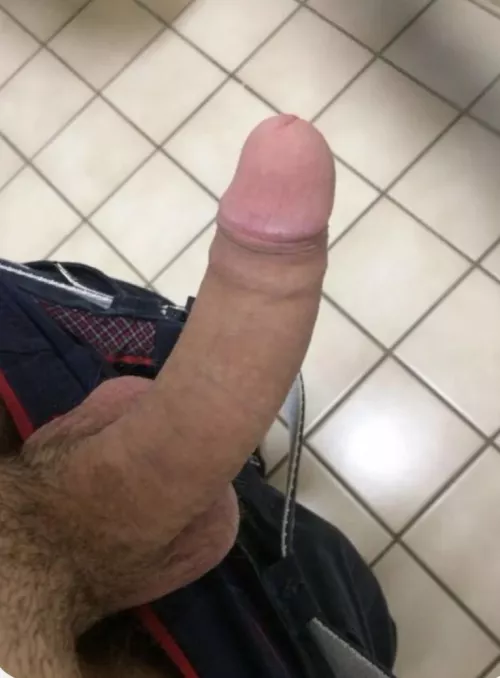 Public bathroom dick pic what do you think