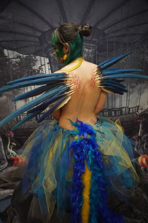 She can fly with wings