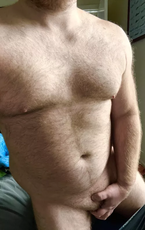 Should I show off more? Shy (35)