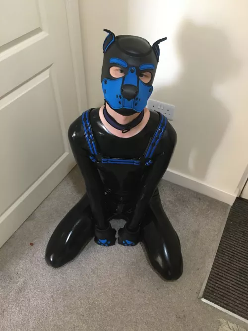 This rubber puppy wants some pets and a bone, can you help?