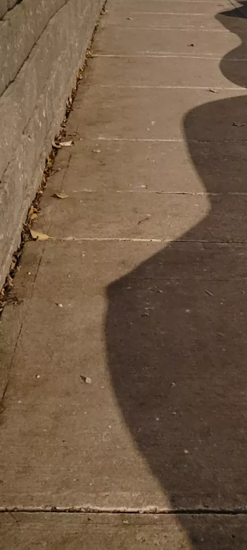 This shadow has a nice ratio