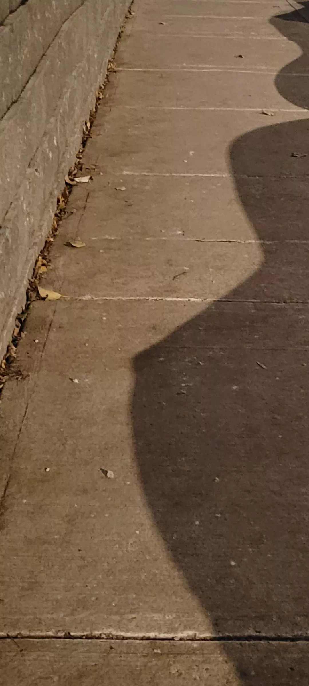 This shadow has a nice ratio