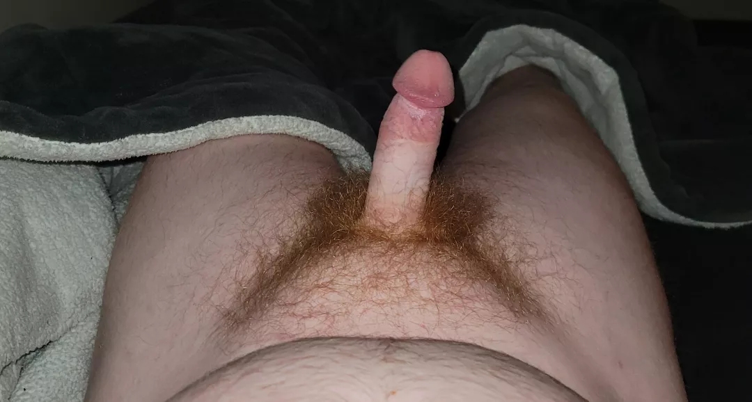 who wants to explore the jungle?