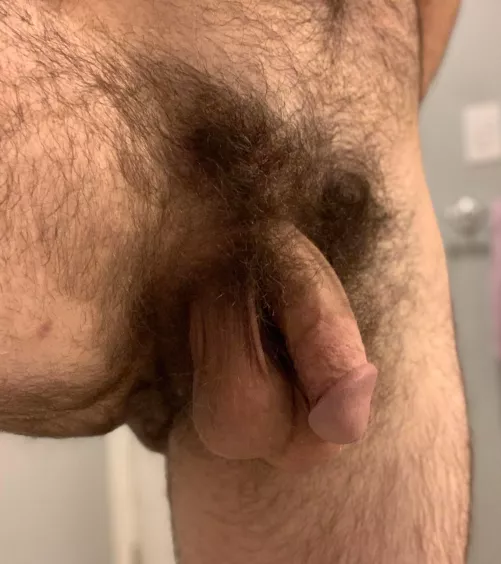 Working from home and horny af. Feel free to chat with me about our bushy pubes or double stuffing a fleshlight. Msg me