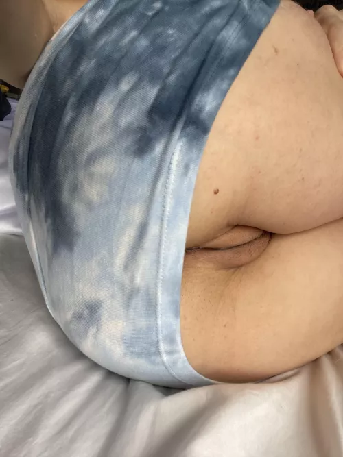 Would you smash this turkey?