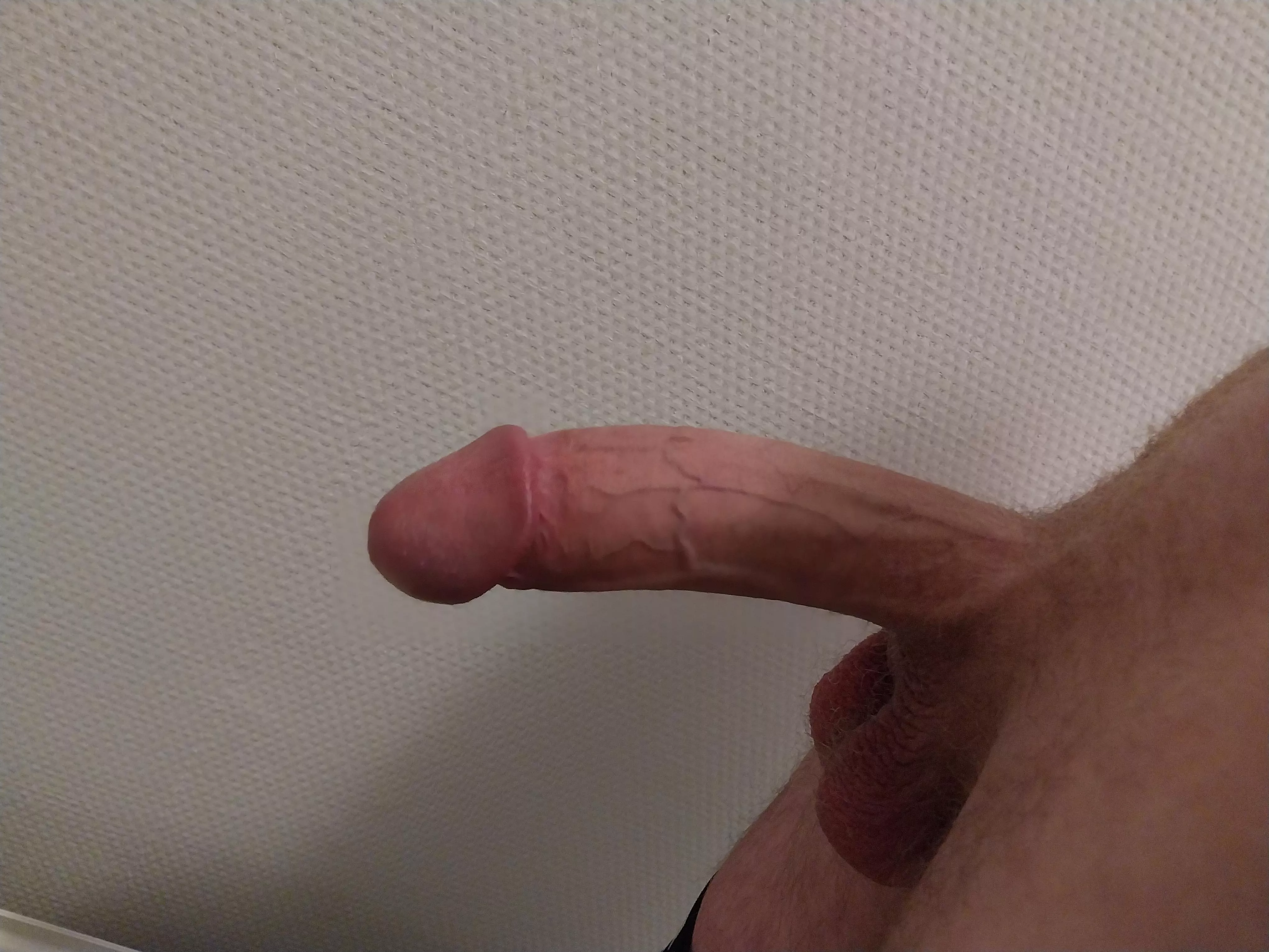 would you suck my cock?