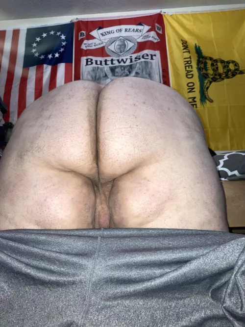 (25) Need my virgin holes stuffed like a turkey on thanksgiving