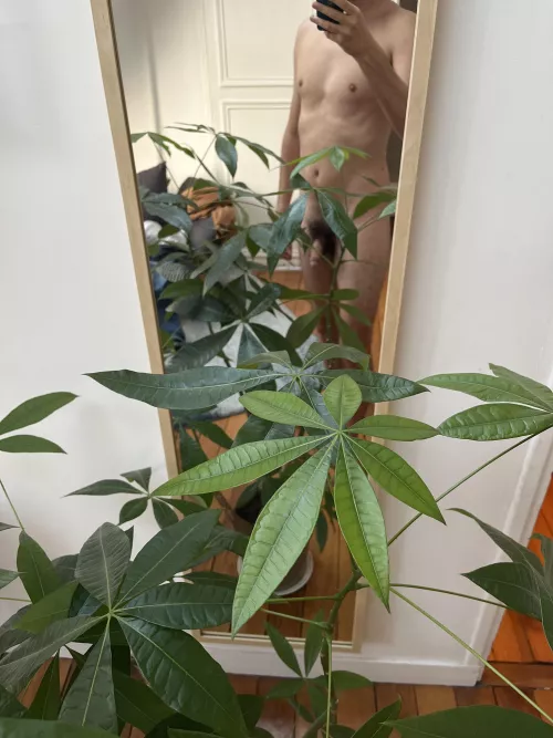 36 (m) hey there, feeling good :-)