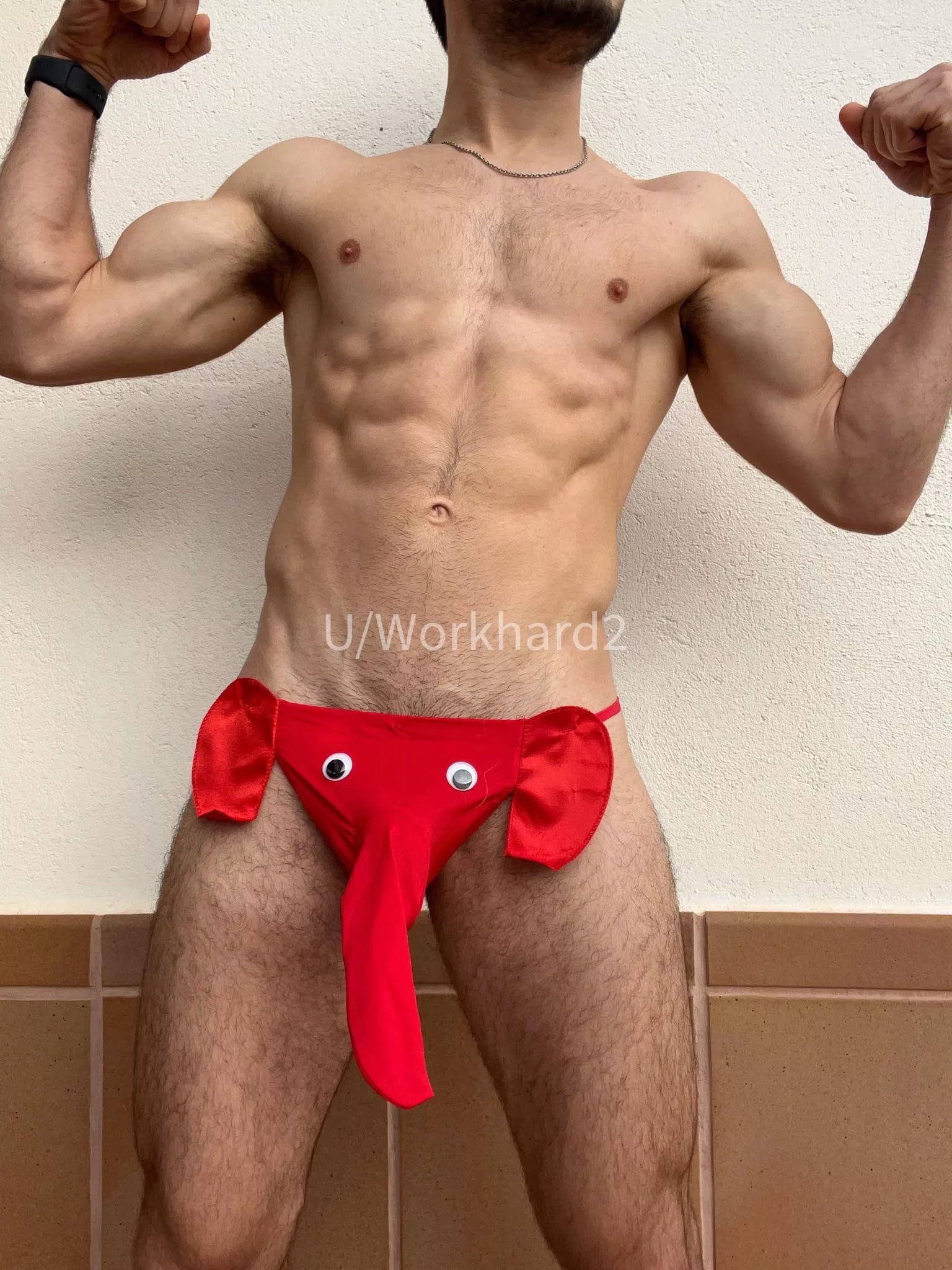 Alpha Elephant! 😝