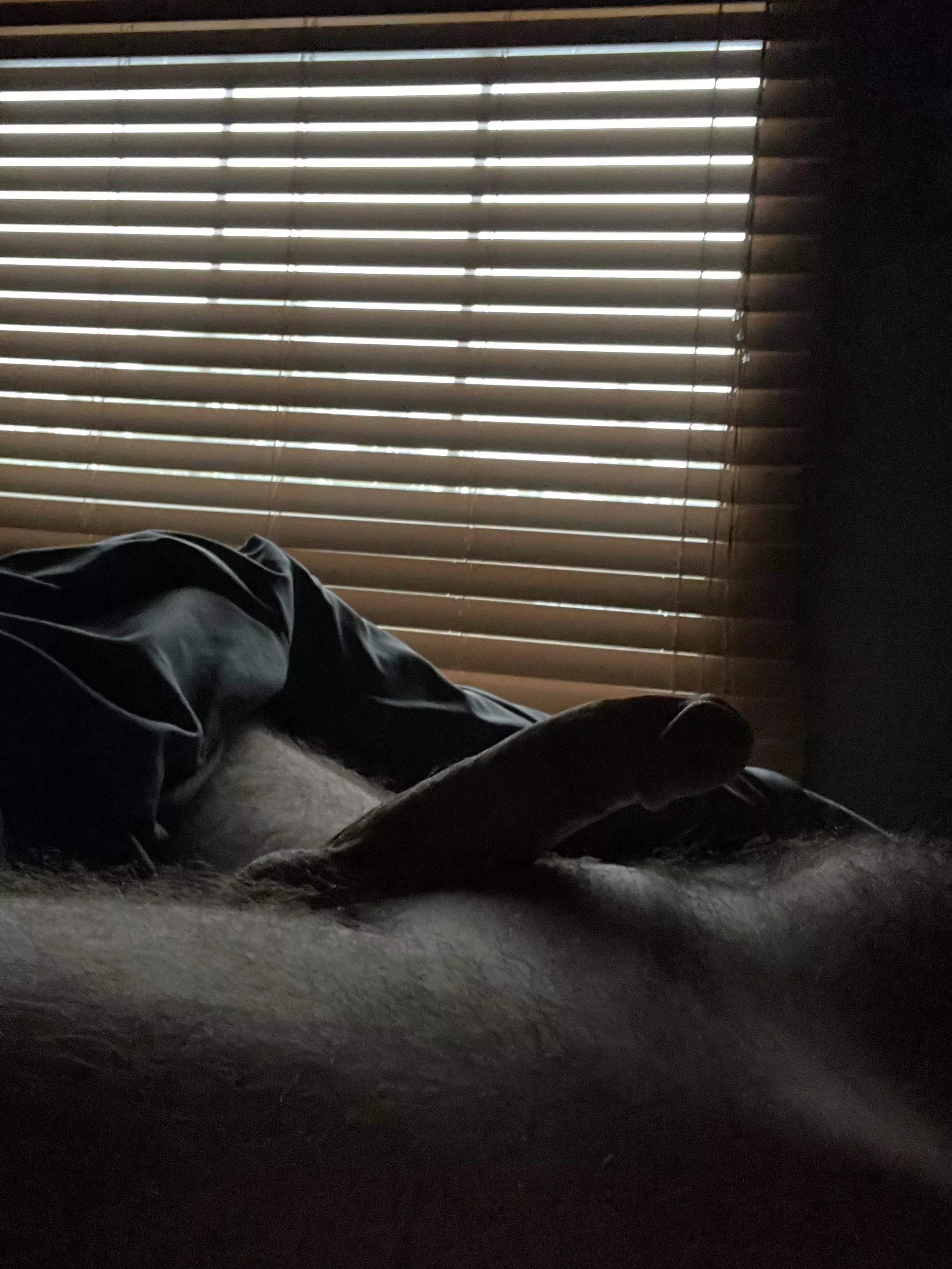 Anyone like a silhouette pic