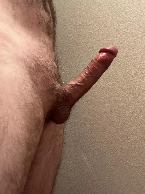 Anyone looking to get stuffed this Thanksgiving? (42)