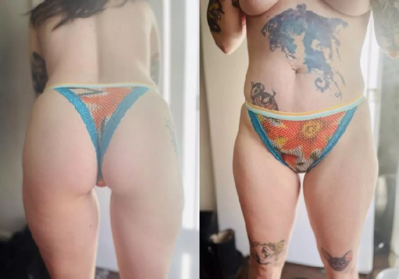 🖤Black Friday “Buy One Get One 50% off” panty sale!🖤Also I finally set up a real “panty drawer”🖤(Link in comments)🖤DM to get yours before they all get claimed🖤[Selling]🖤