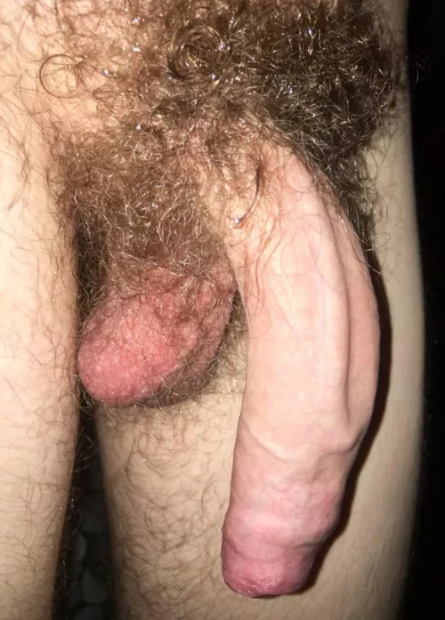 Canterbury Has the Best Cock In Kent