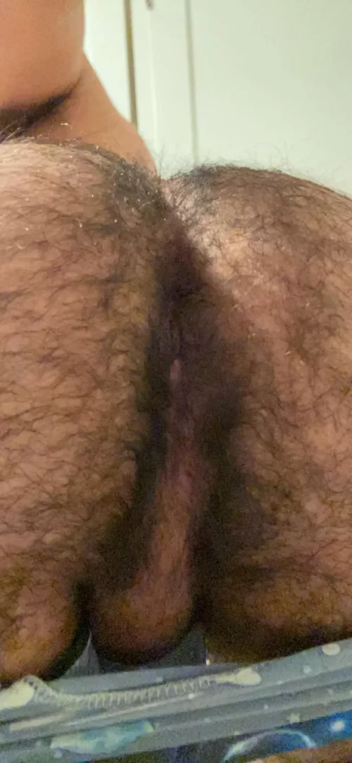 Could use a stuffing 🥺