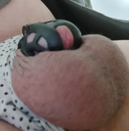 Daily chastity verification day 3 out of ? (didn't have time to make a paper)