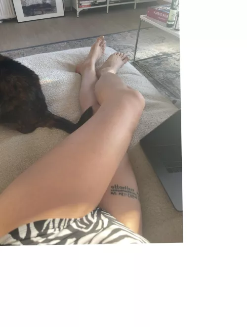 do you like little feet?