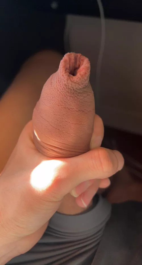 Foreskin! Uncut Canadian Chinese Cock!