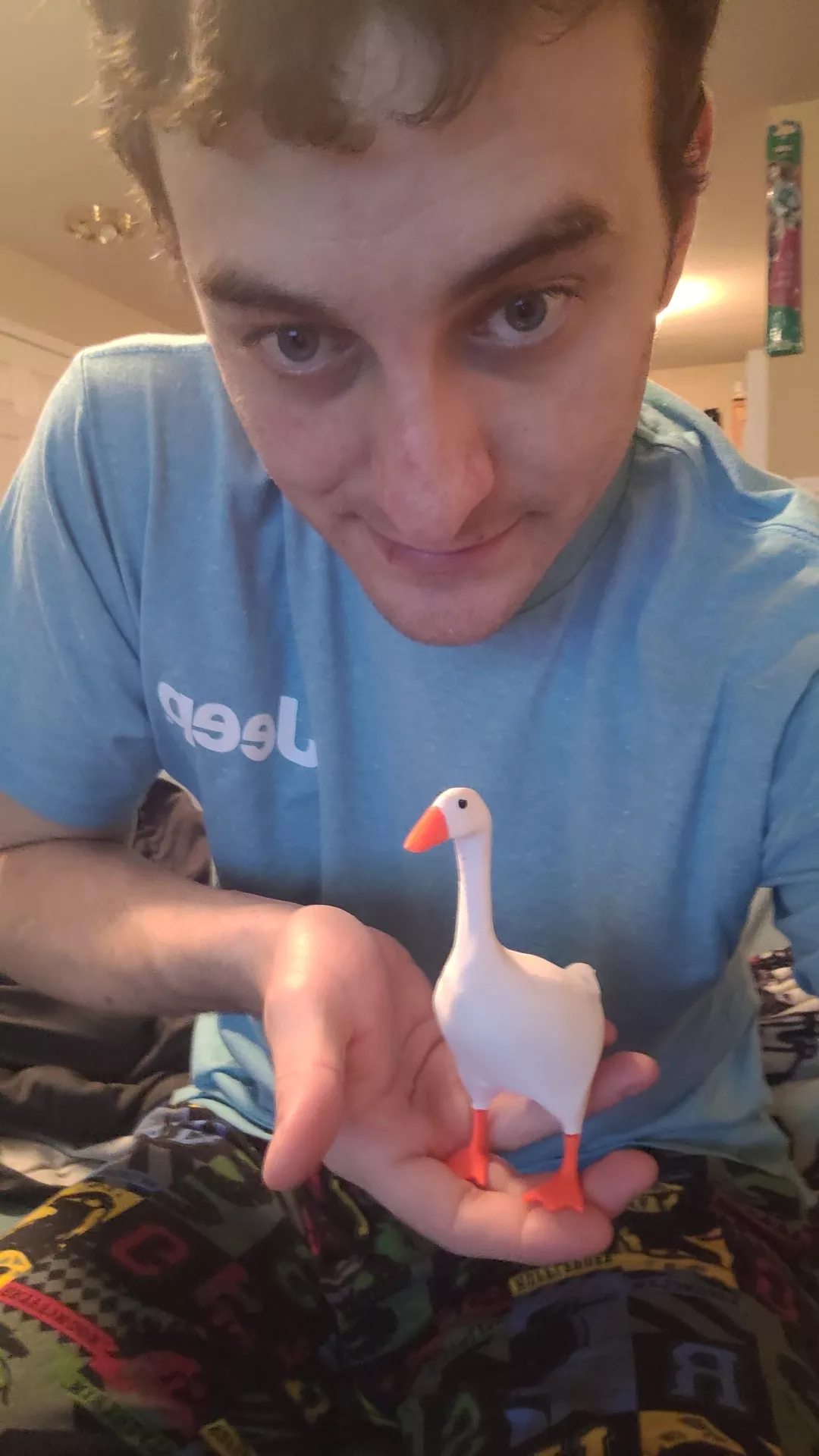 Found the print here on Reddit somewhere, and as a fun project my dad printed the goose. can't hold my keys but I love this thing all the same 😁