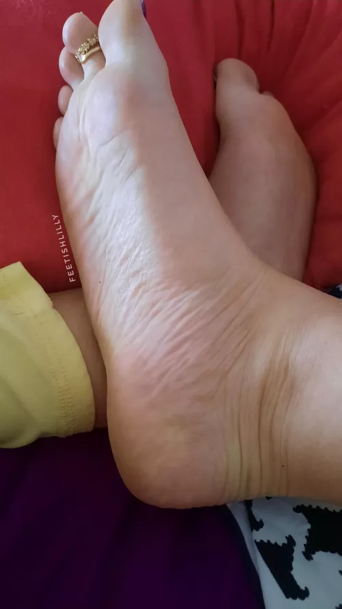 Friday soles are waiting to be cuddled 🥰