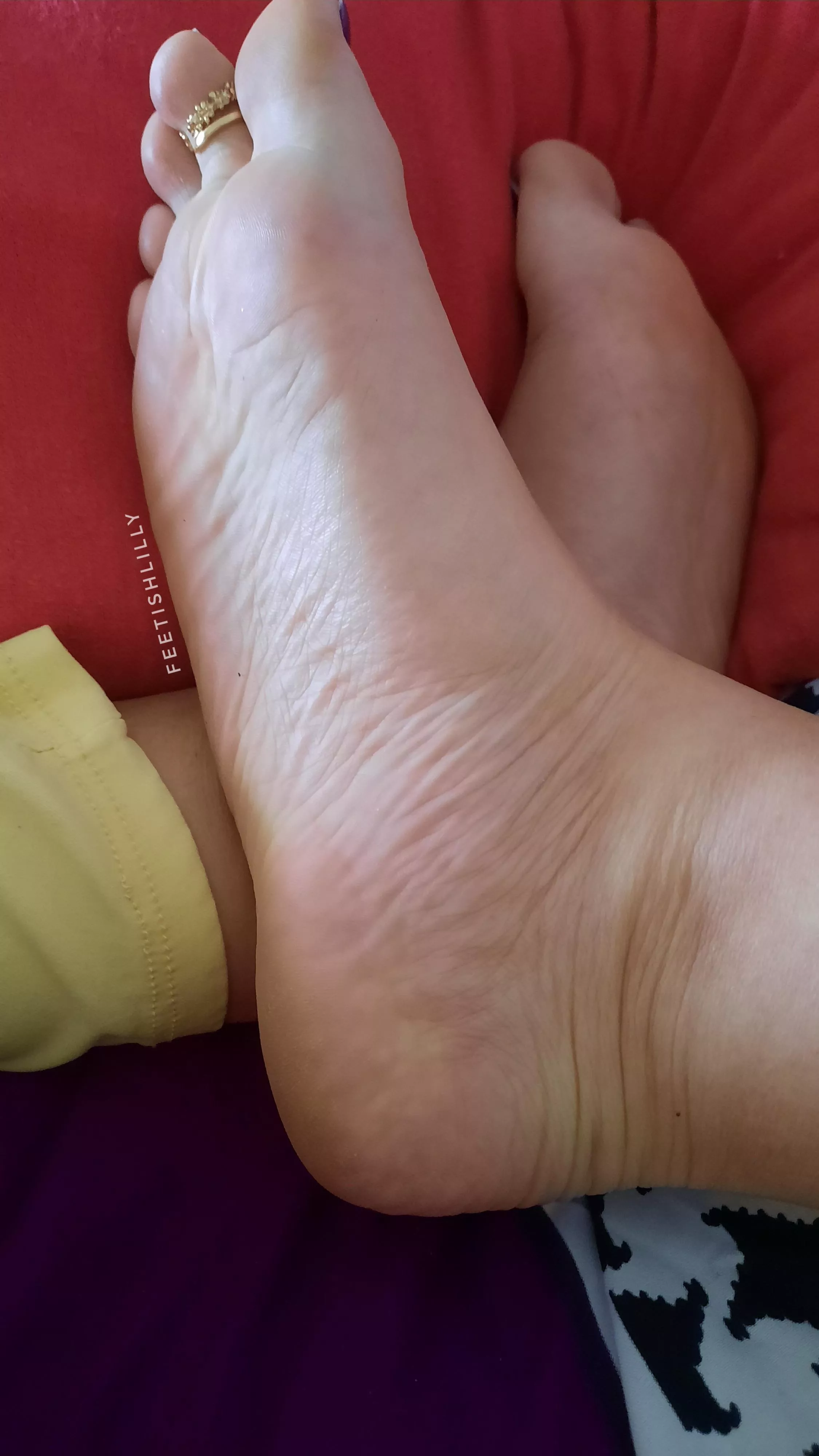 Friday soles are waiting to be cuddled 🥰