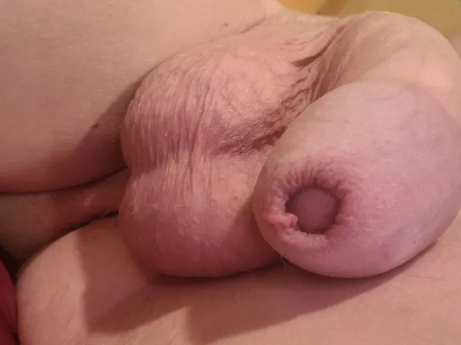 Happy Friday from Dick and the twins