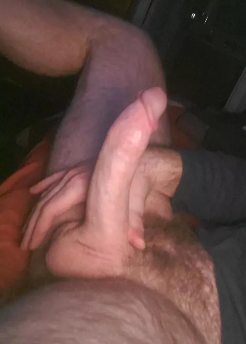 Hard daddy cock ready to cu
