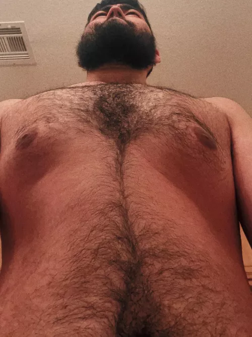 Have a nice thanksgiving