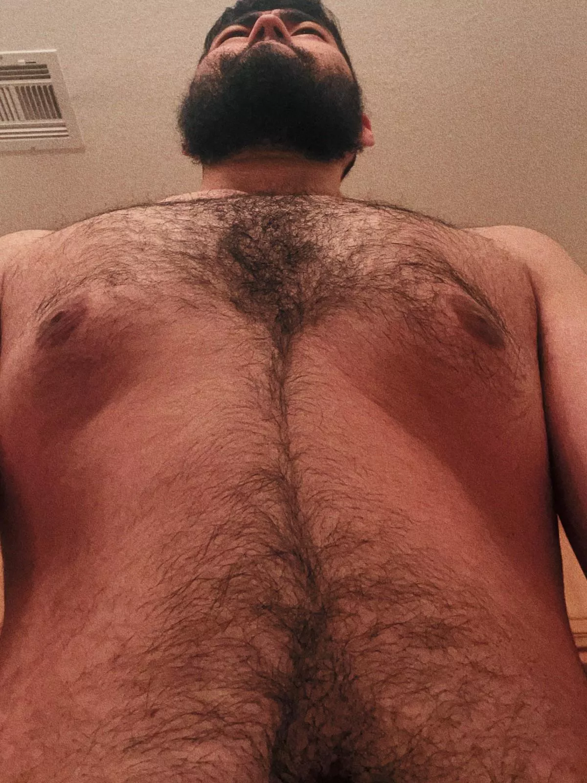 Have a nice thanksgiving