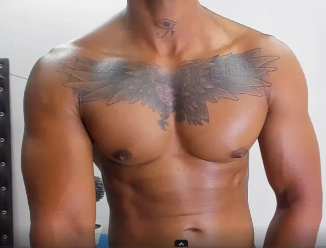Hawk Tattoo