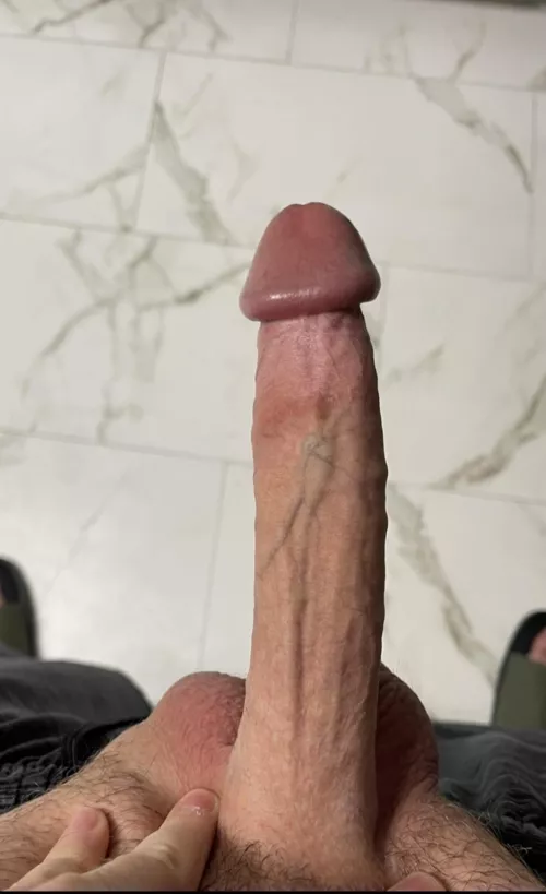 Hope you had a great day!